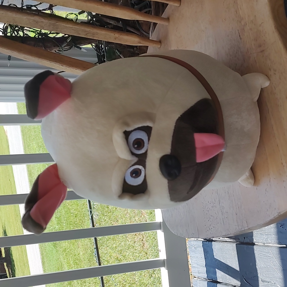 MEL/Dog Pet - Picture 2 of 10